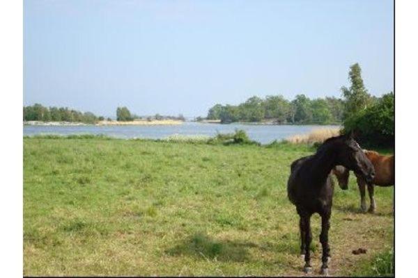 By The Baltic Sea, 2 Bedrooms Карлскруна Екстериор снимка